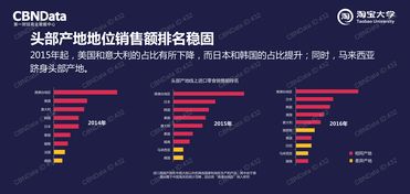 中國(guó)市場(chǎng)新趨勢(shì) 互聯(lián)網(wǎng)數(shù)據(jù)資訊中心199it的數(shù)據(jù)服務(wù)崛起